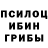 Псилоцибиновые грибы GOLDEN TEACHER rusty shacklford