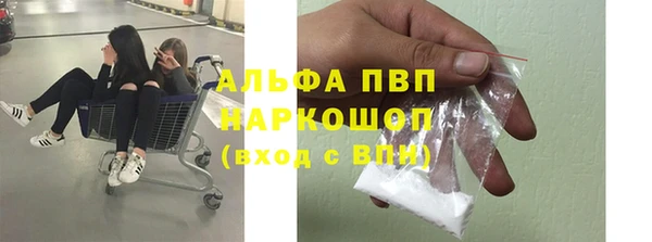 ПСИЛОЦИБИНОВЫЕ ГРИБЫ Волосово