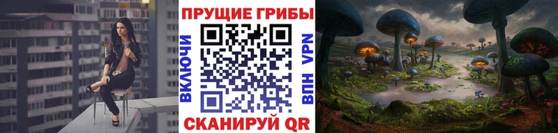 купить наркотики сайты  Ворсма  Псилоцибиновые грибы мицелий 